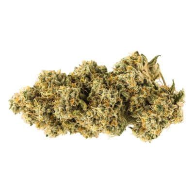 Close-up of a dried cannabis bud on a white background