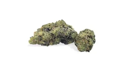 Two green cannabis buds on a white background