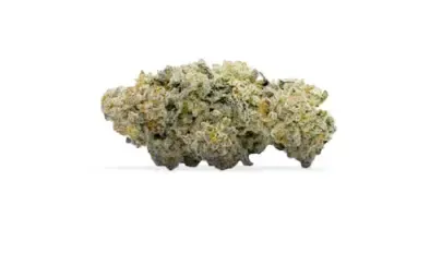 Close-up of a pale green cannabis bud on a white background