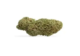 Close-up of a green cannabis bud on a white background