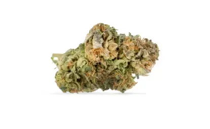 Single cannabis bud with green and orange tones on a white background