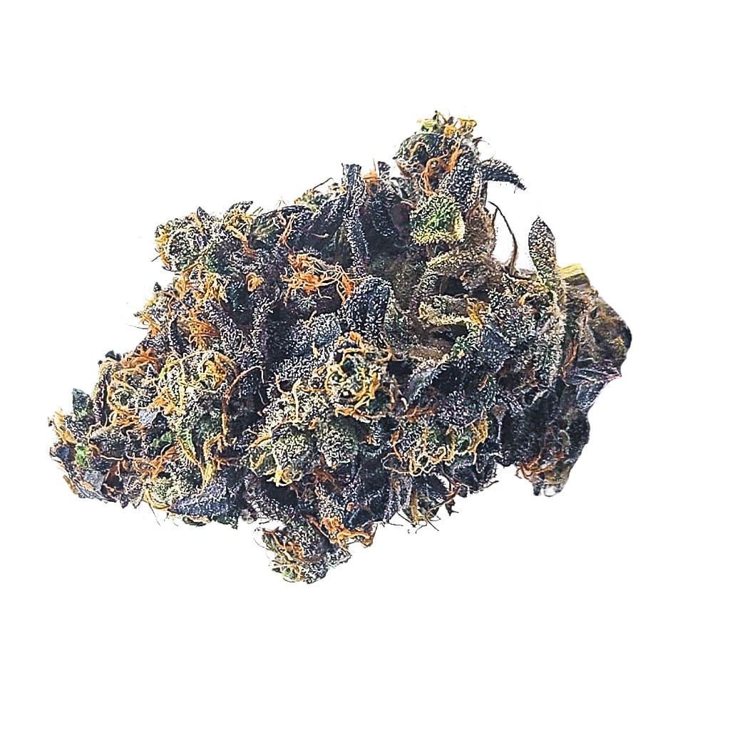 Close-up of a dark purple cannabis bud with orange hairs on a white background