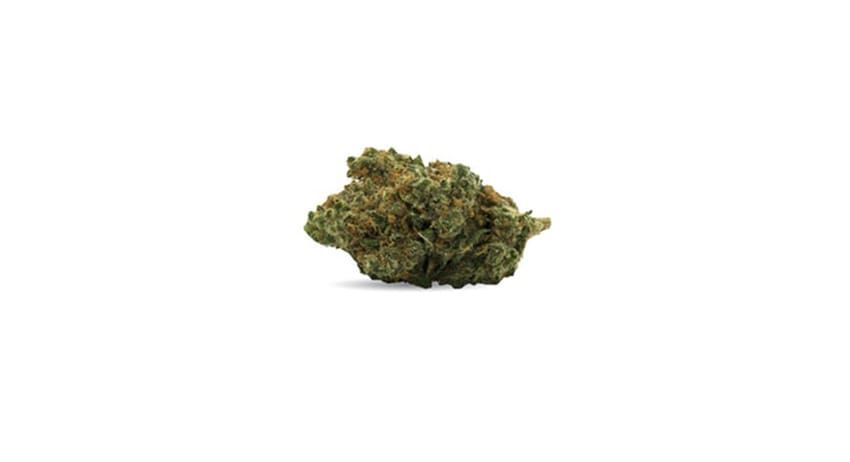 Close-up of a green cannabis bud on a white background