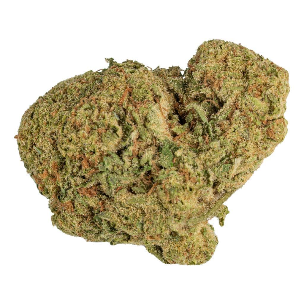 Close-up of a cannabis bud with dense green and orange flowers on a white background