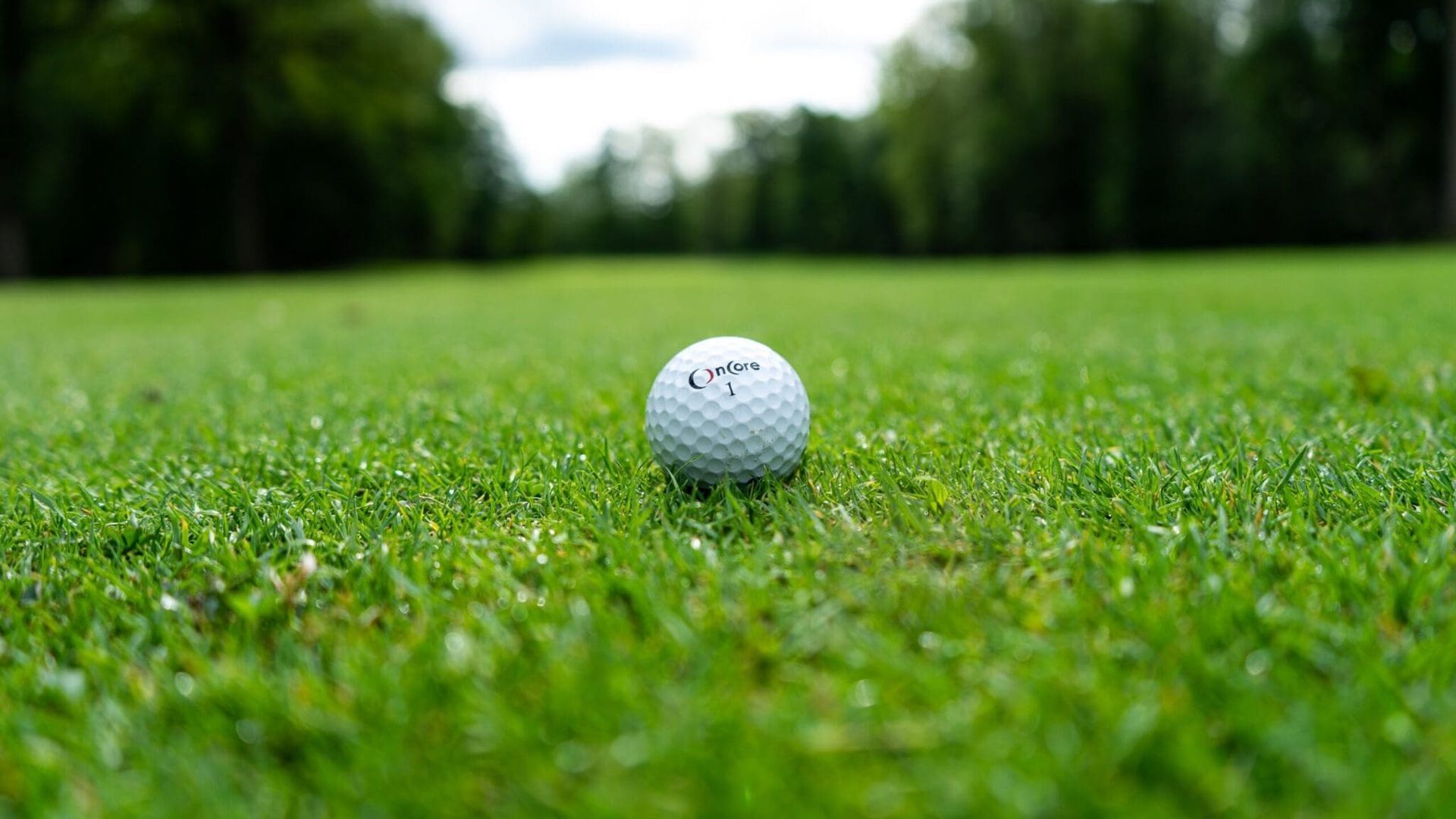 White golf ball on green grass fairway, with blurred trees in the background