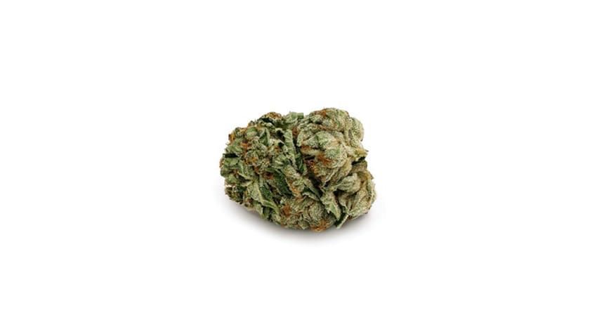 Small green cannabis bud on a white background