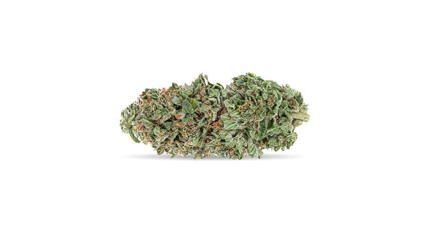 Close-up of a small green cannabis bud with orange hairs on a white background