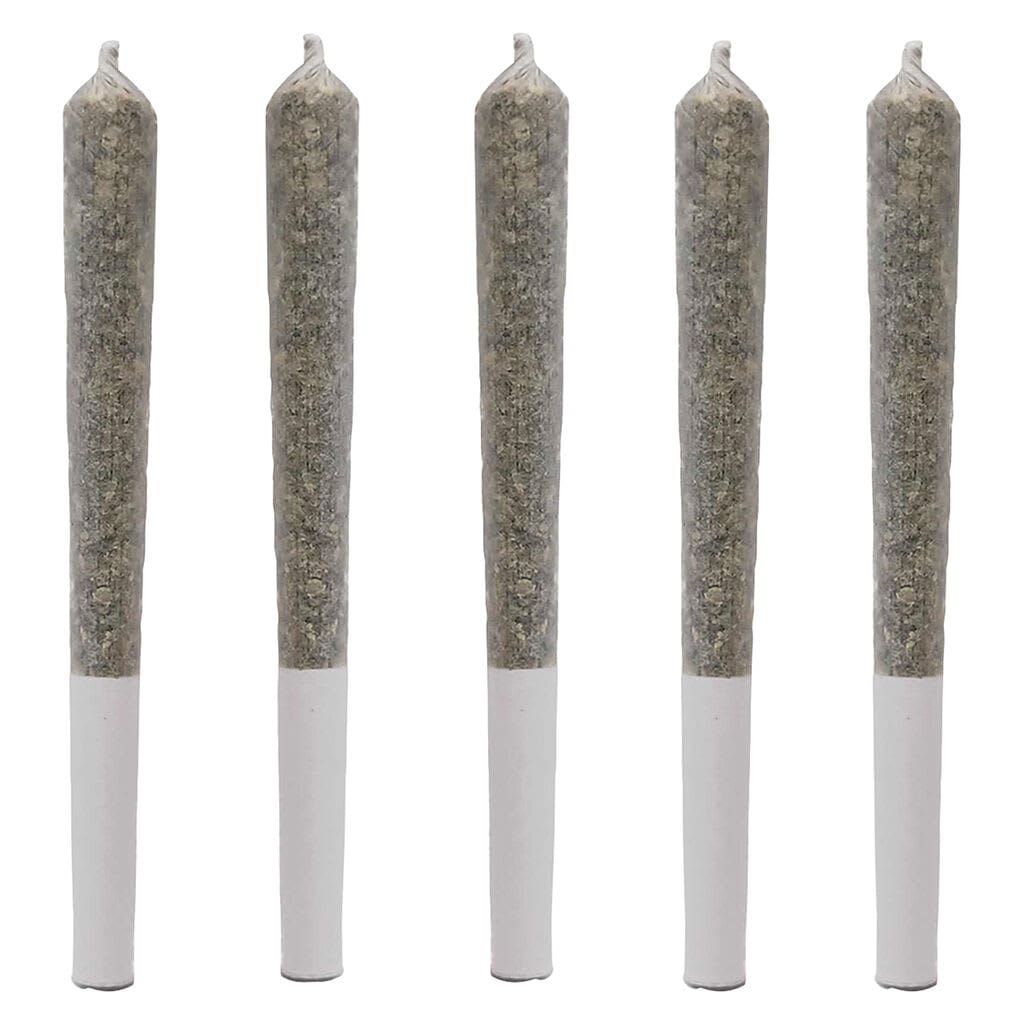 Five weed pre-rolls with rolled filters at the end, standing upright on a white background