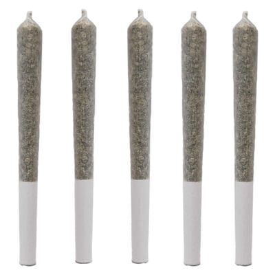 Five white-tipped gray rolled cigarettes standing upright on a white background