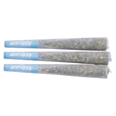 Three Northern brand pre-rolled joints with blue tips on a white background