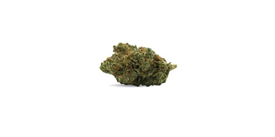 Small green cannabis bud isolated on a white background