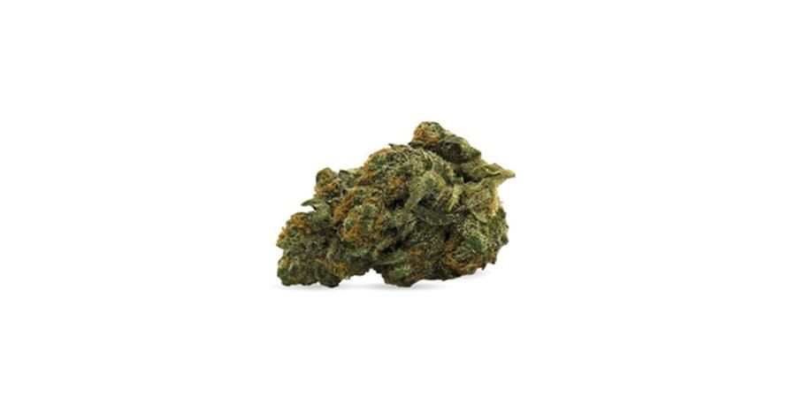 Small green cannabis bud on a white background