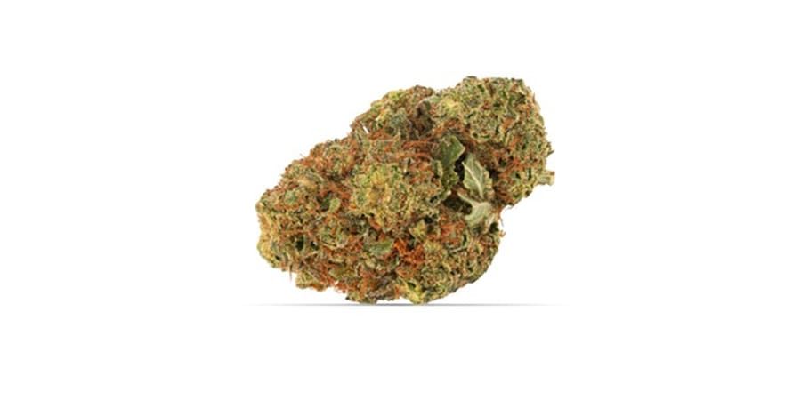 Close-up of a cannabis bud with green and orange tones on a white background
