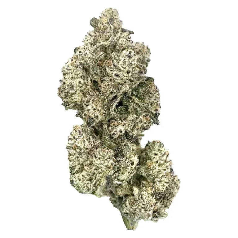 A green cannabis bud on a white background