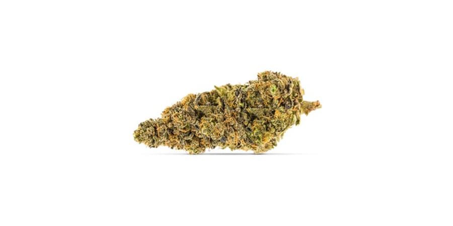 A small pile of dried green-brown cannabis buds on a white background