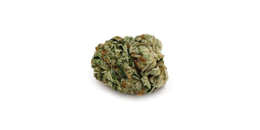 A small green cannabis bud isolated on a white background