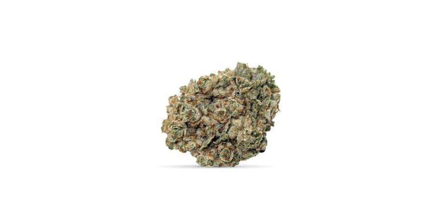 A small greenish-brown cannabis bud on a white background