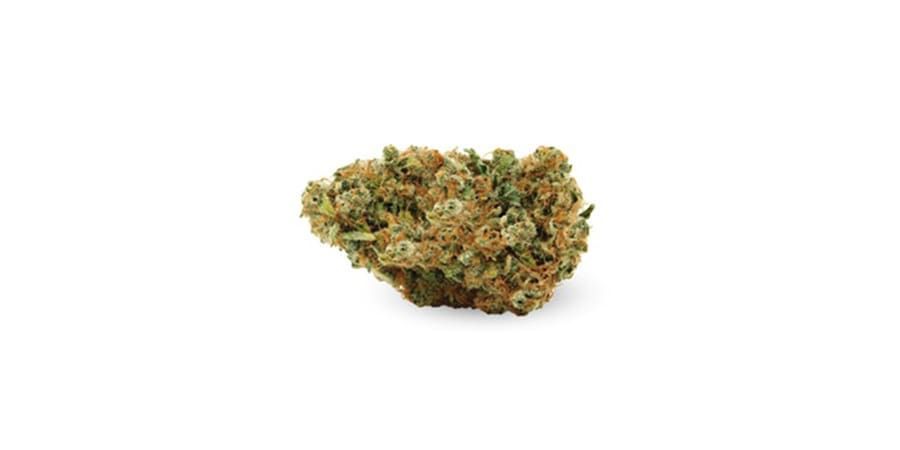 Small close-up of a green-brown cannabis bud on a white background