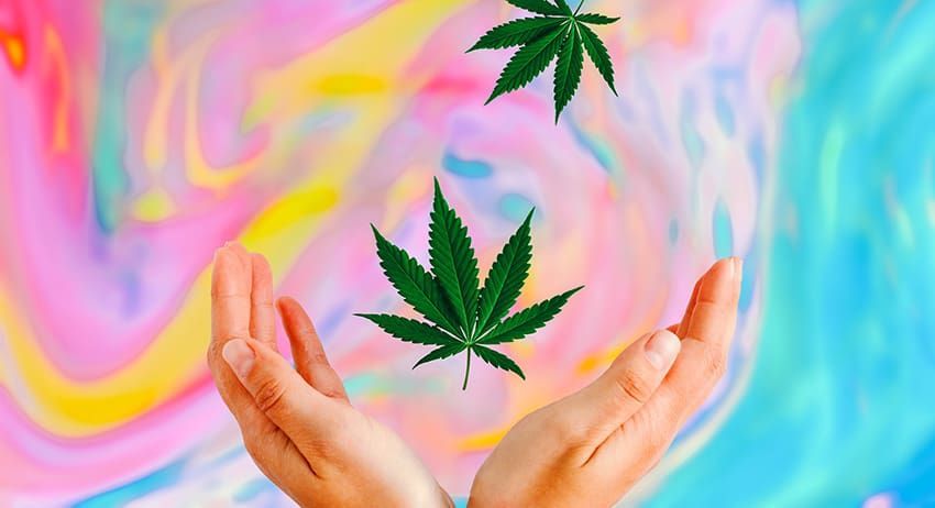Hands cupping two green cannabis leaves against a pastel pink, yellow, and blue swirl background