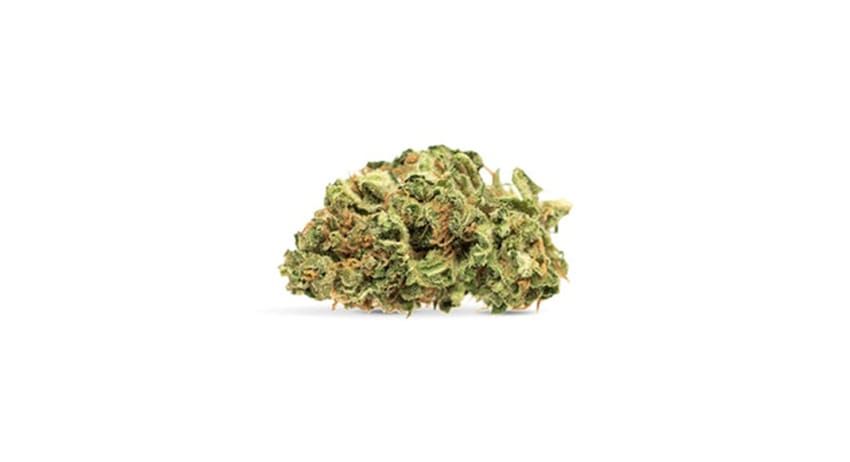 A small pile of dried green cannabis buds on a white background