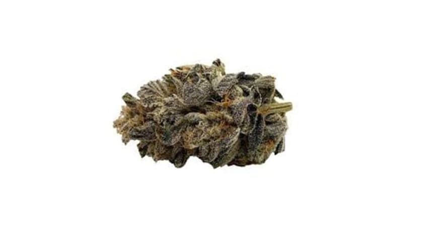 A small cannabis bud with green and purple hues on a white background