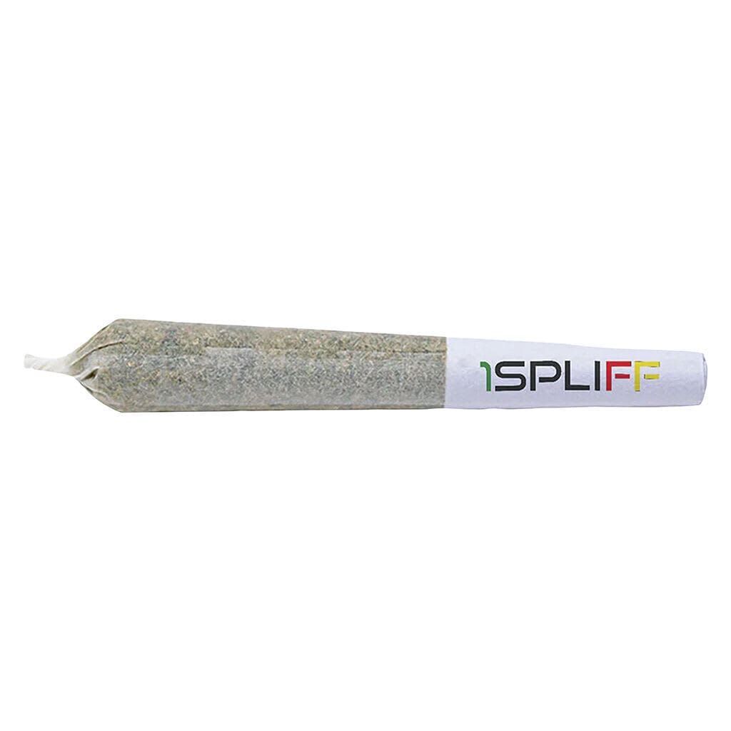 Gray textured hand tool with a white handle labeled “ISPLIFF” on a plain background