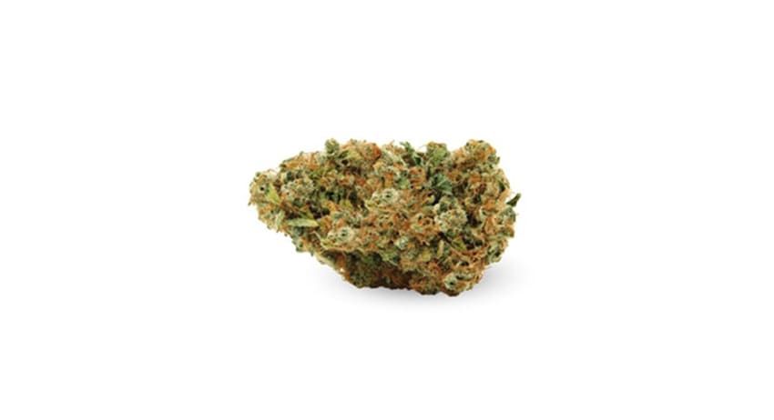 Small cannabis bud on a white background