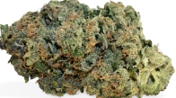 Cannabis bud with green and orange hues on a white background
