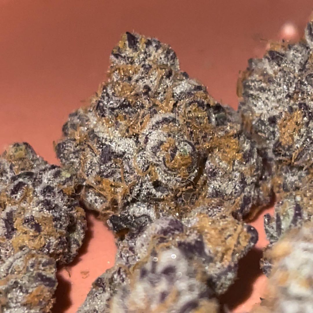 Close-up of dried purple-green cannabis buds on a reddish surface