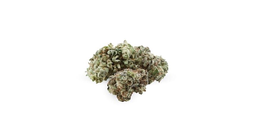 A small cluster of green cannabis buds on a white background