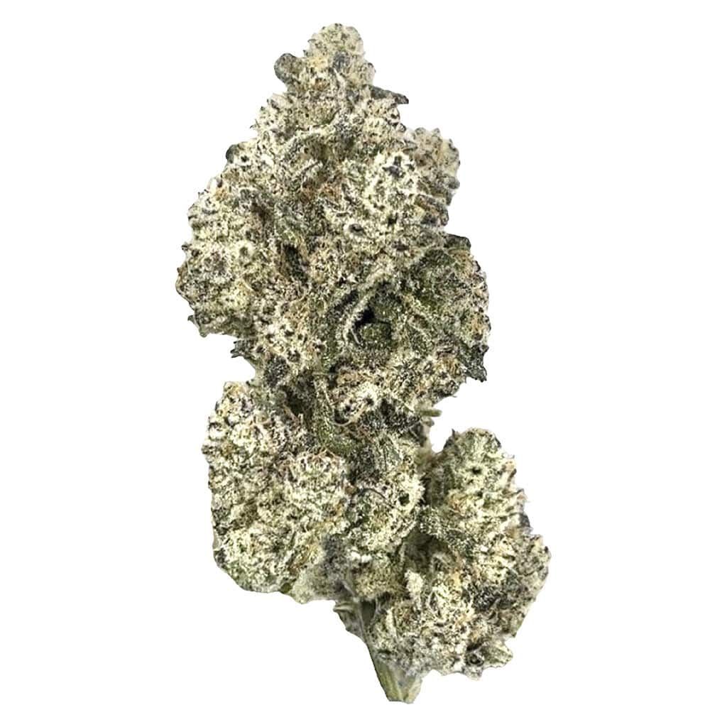 Close-up of a cannabis bud with frosty green leaves on a white background