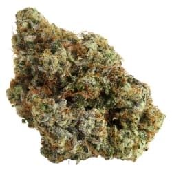 Close-up of a dense green and orange cannabis bud on a white background