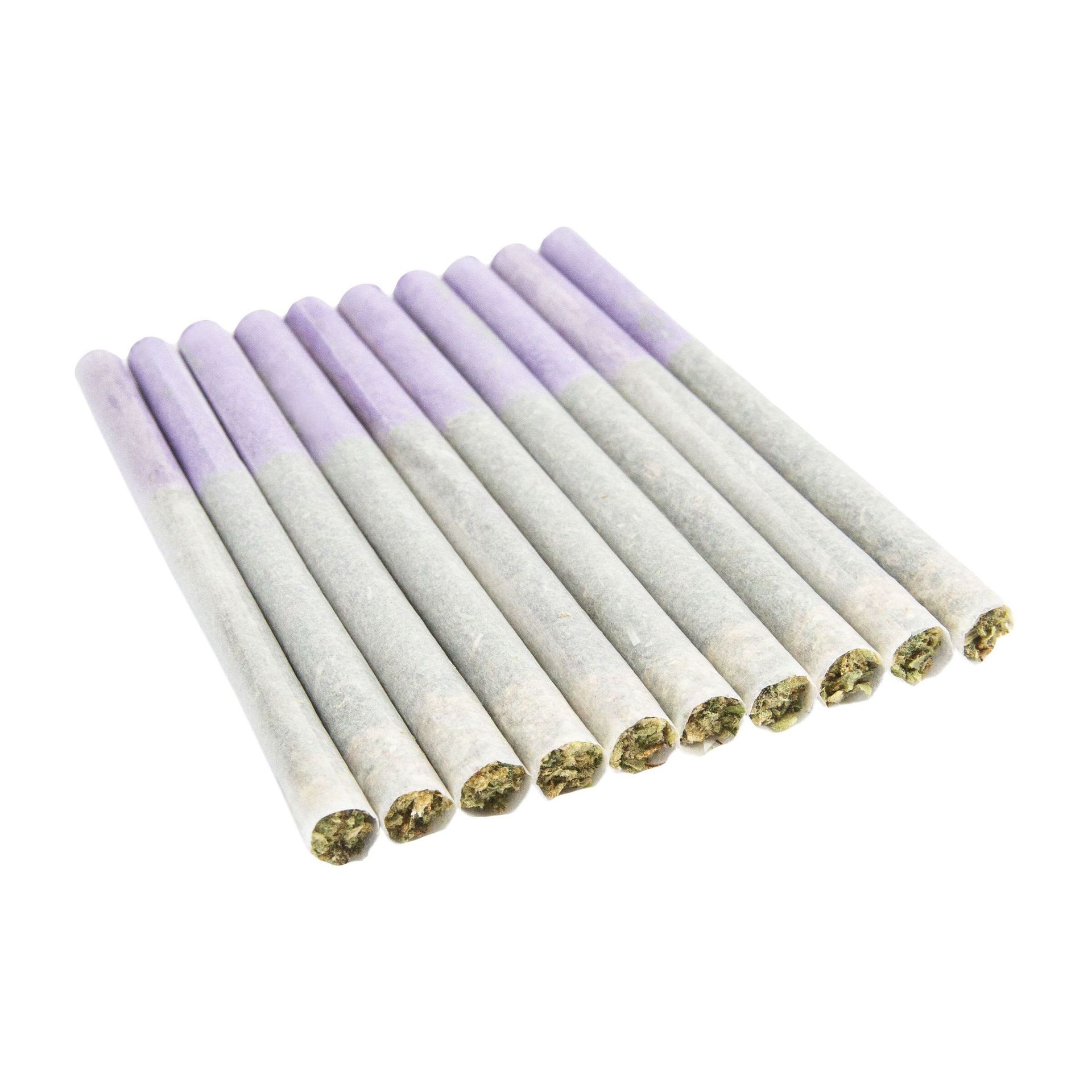 A row of lavender-tipped rolled joints on a white background