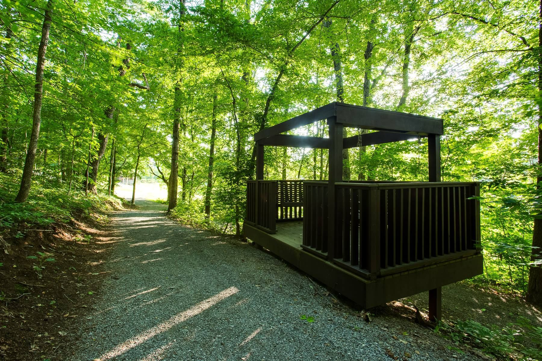 A wooden gazebo in the middle of a forest next to a gravel path.