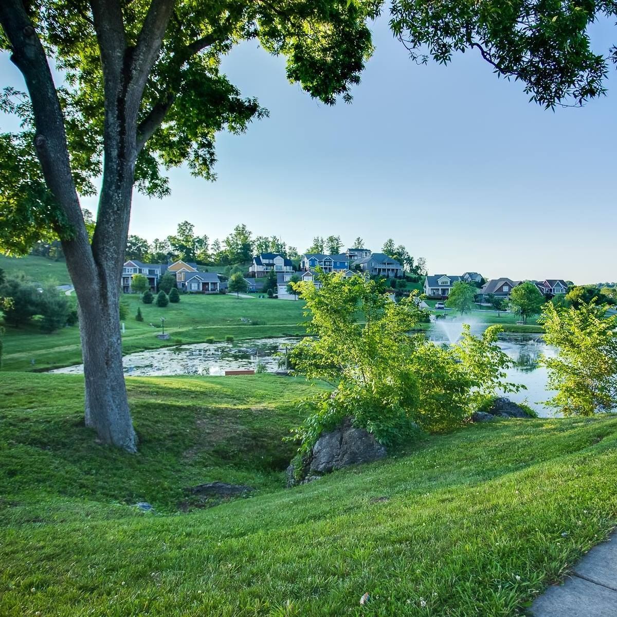 There is a small pond in the middle of a grassy field in Edinburgh Subdivision at Rock Springs Tennessee