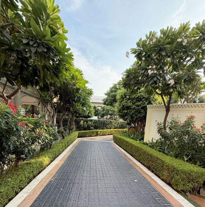 Paved garden walkway with trimmed hedges and lush trees on both sides