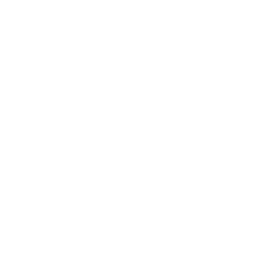 svg