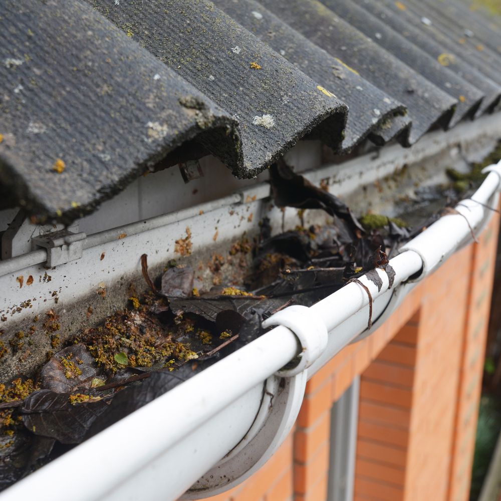 Gutter Full of Dried Leaves and Dirt