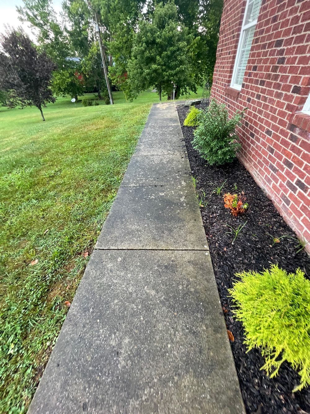 Dirty Path Walk