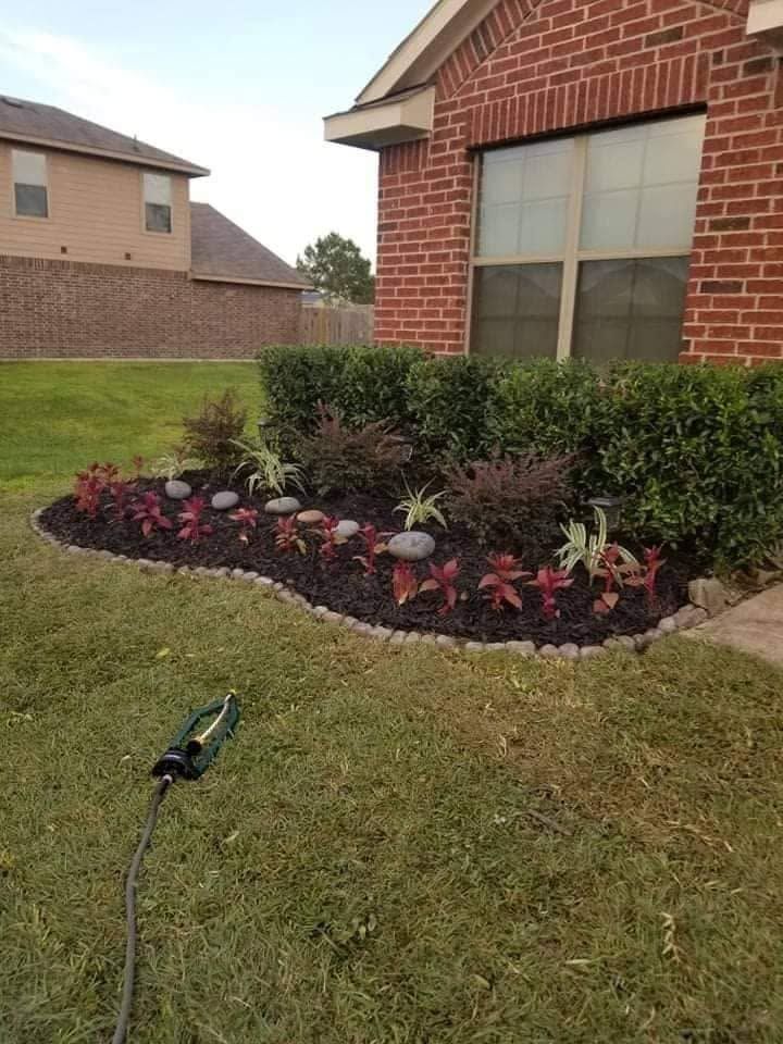 Front yard flower bed with red flowers and dark mulch beside a brick house and lawn