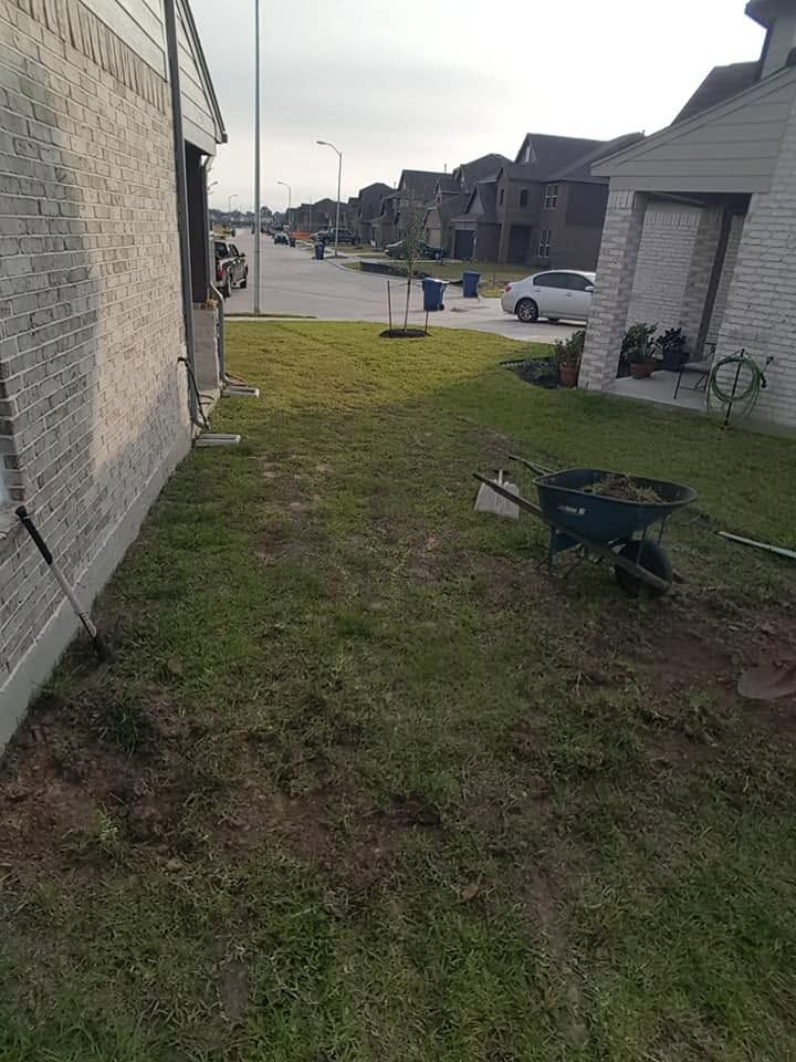 Narrow grassy side yard between houses with a wheelbarrow near the curb and suburban street in the background