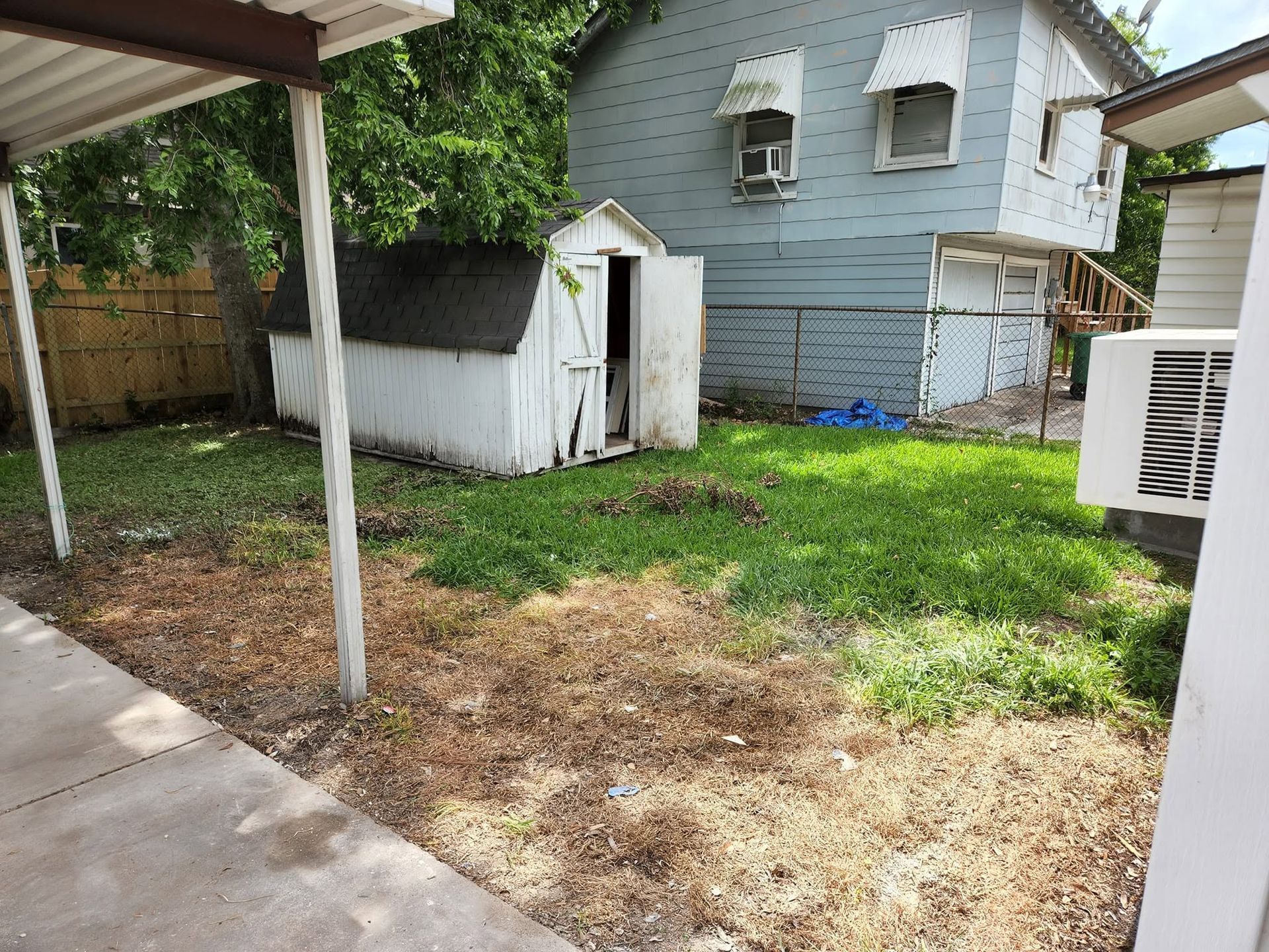 Backyard with patchy grass, a white shed, and a blue house beside a concrete patio and covered walkway