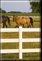 Horse Ranch Fence | Roy, UT | Pro -Link Fence Company