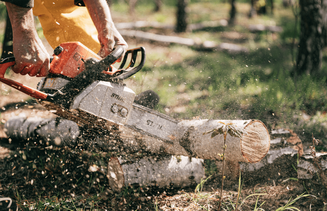 Chainsaw Cutting