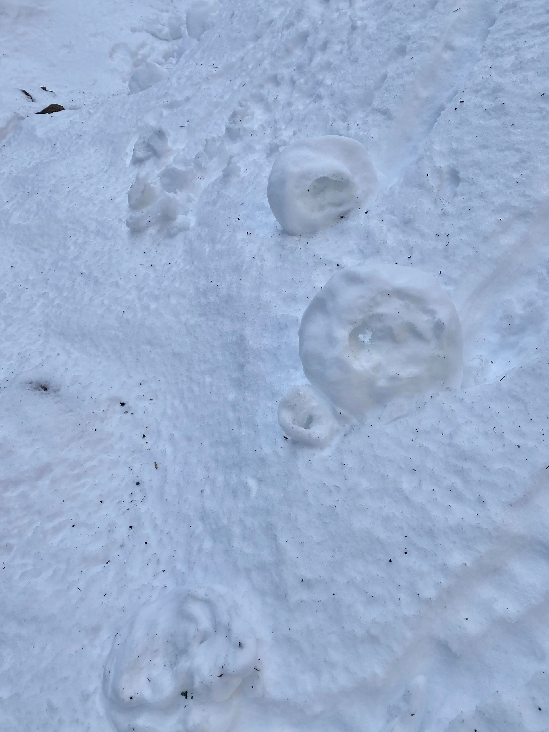 Snow Donuts