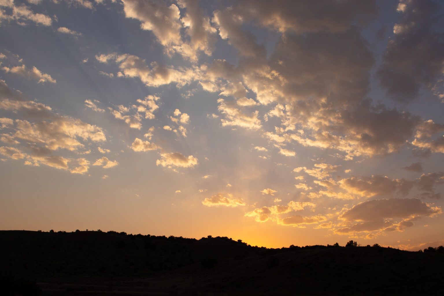 Owl Release Sunset