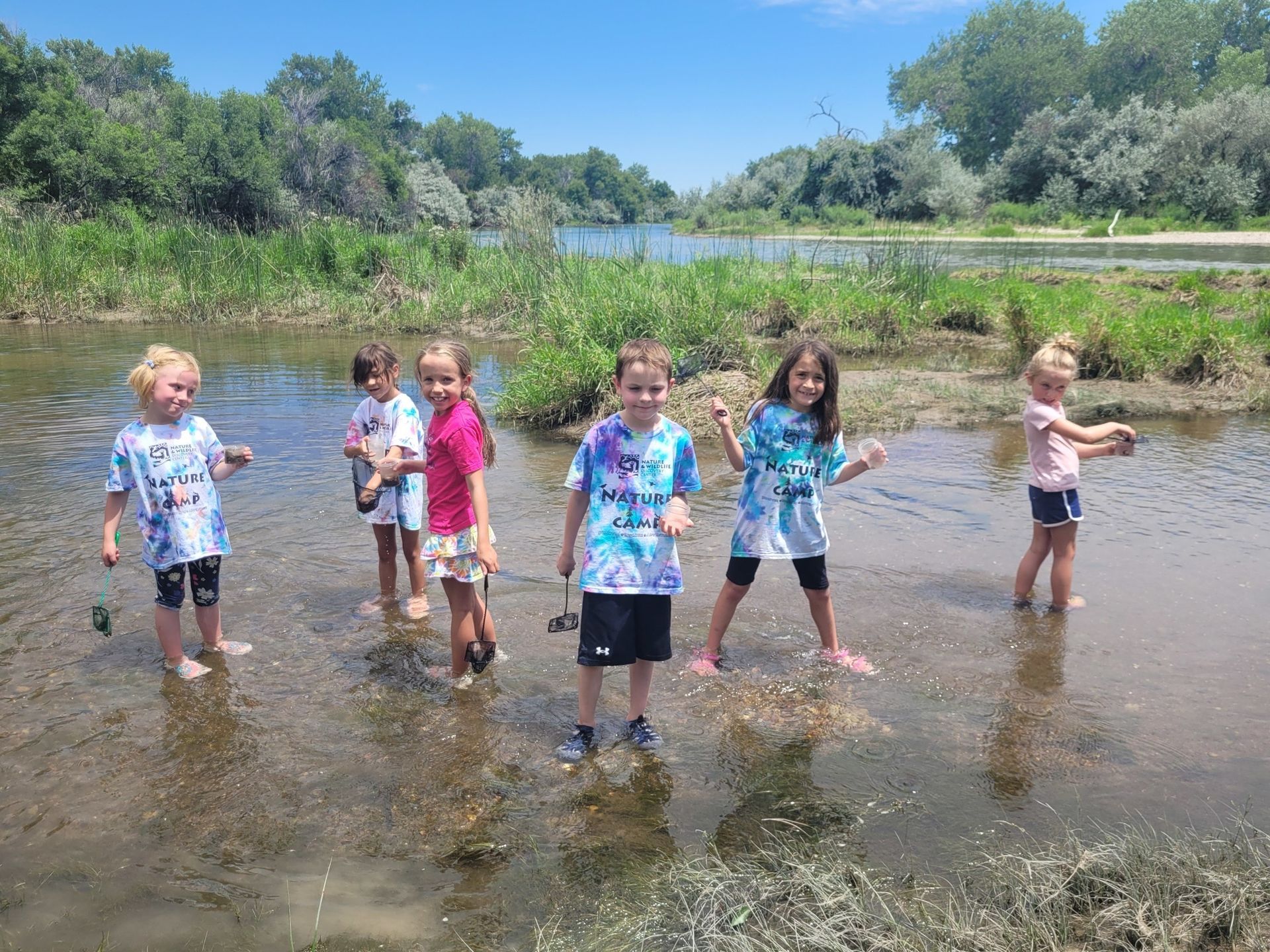 Camp River Invertebrates