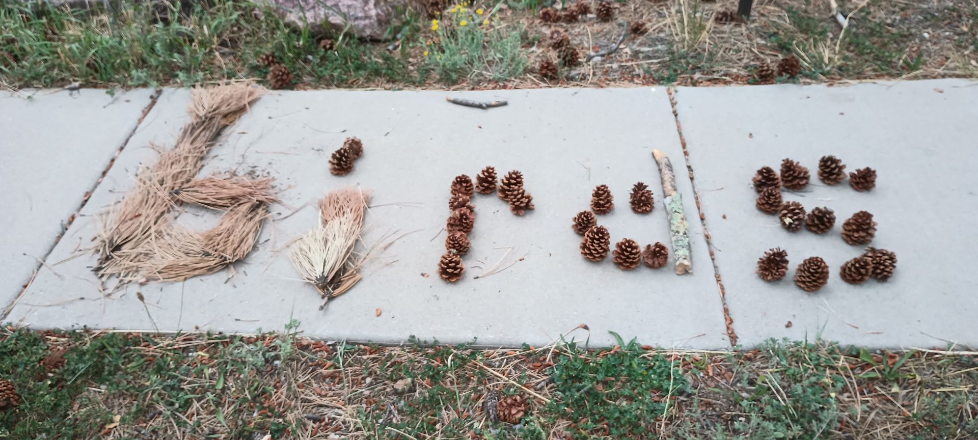 Natural Word Art