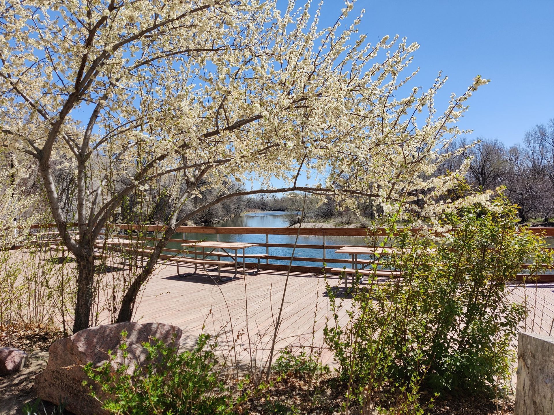 Spring 2025 River Campus