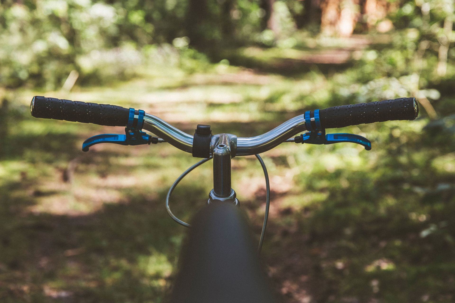 View from a bicycle on a forest trail, with black handlebars and blue grips in the foreground